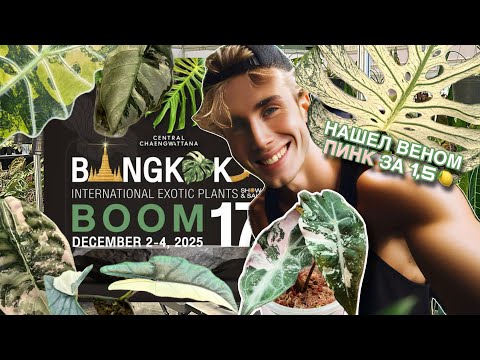 ВЫСТАВКА РАСТЕНИЙ В БАНГКОКЕ 2-4дек 2025г EXOTIC PLANTS❤️‍🔥 ВЕНОМ ПИНК ВАР ЗА 1,5🍋 и МОНСТЕРА ДЕВИЛЬ