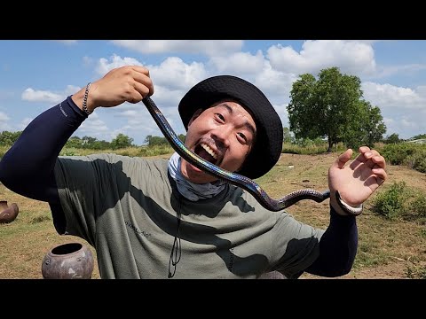 뱀을 잡아서 먹어보겠습니다..