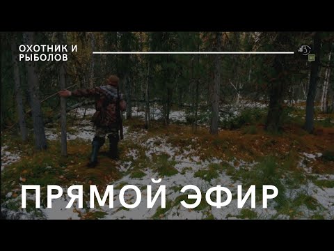 Телеканал «Охотник и рыболов»