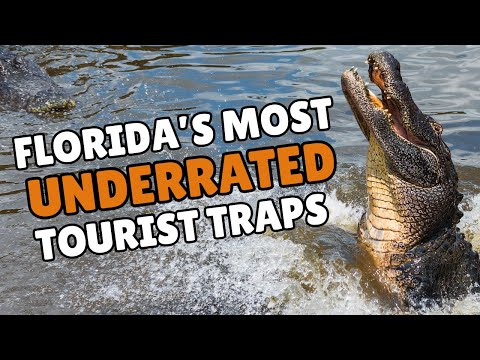 Florida's 10 Most UNDERRATED Tourist Traps (That Are Totally Worth It)