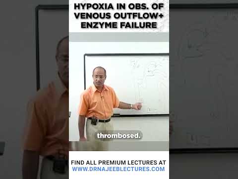 Hypoxia in Obs of venous outflow + Enzyme failure #drnajeeb #drnajeeblectures #shortvideo