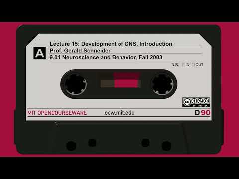 Lecture 15: Development of CNS, Introduction