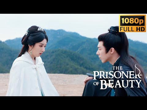 💗Liu Yuning was assassinated and poisoned, Xiao Qiao and others escaped danger