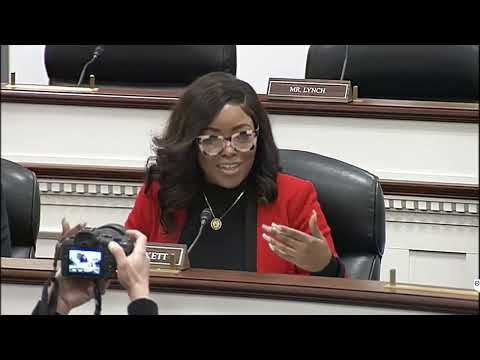 Jasmine Crockett calls out Marjorie Taylor Greene, Elon Musk during DOGE subcommittee hearing