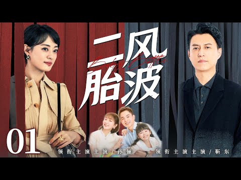 【好看的电视剧】二胎风波01 | 穷女娃靠自己在北京逆袭成为公司合伙人，强势丈夫却让她回家生二胎，家庭大战一触即发 #孙俪 #靳东