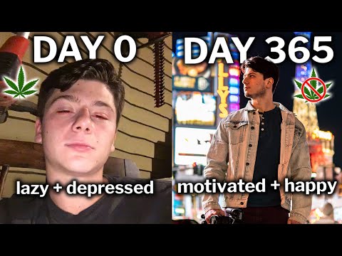 365 Days Without Weed: The Most Successful Year of My Life