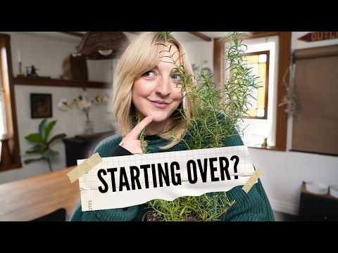 BIG CHANGES TO THE KITCHEN! | thrifting, styling + plan with me