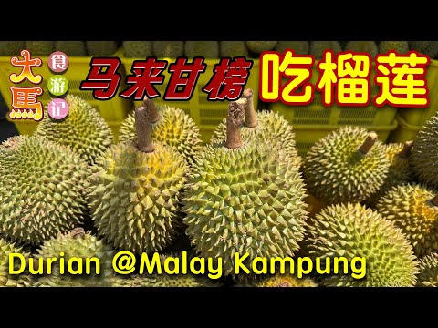 去马来甘榜找香甜美味的红虾 vs 貓山王榴莲 ～ 食游记 📍 Durian Trip to Baiduri Lubuk Durian at Kampung Paya Jaras Shah Alam