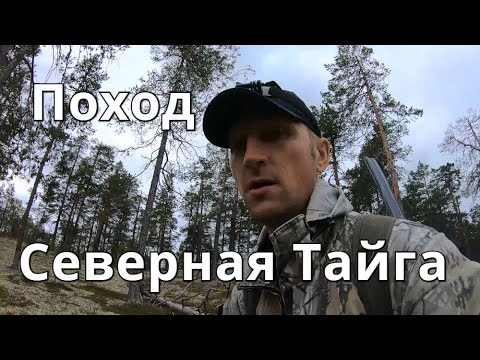 Поход в избу,ловля рыбы на гайку,выводок глухарят на фотоловушку