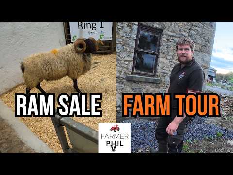 SELLING RAMS AND INSPECTING FARMER PHIL'S FARM!