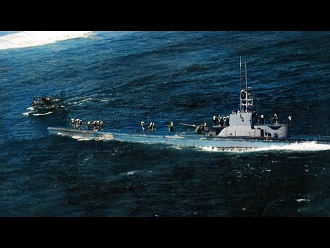 How One Commander's "FORBIDDEN" Tactic Created The Ultimate Destroyer Killer