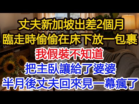 丈夫新加坡出差2個月，臨走時偷偷在床下放一個包裹，我裝不知道，他走後把主臥讓給婆婆，半月後丈夫回來見一幕瘋了#為人處世 #正能量 #故事分享 #生活經驗 #情感
