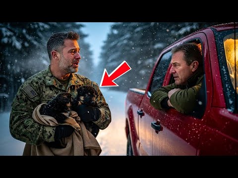 “Hop In, Son. No One Survives Alone,” the Veteran Said — The SEAL and His Puppies Wept in the Snow.