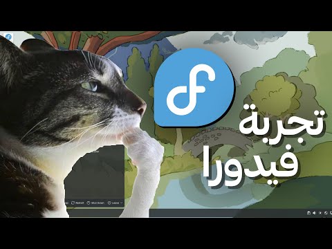 قررت اجرب فيدورا...