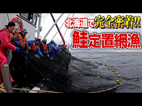 Japan's Salmon Set Net Fishing