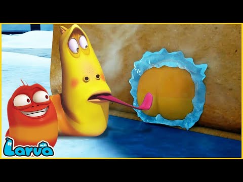 LARVA | MISTAKE | CARTOON MOVIE FOR LIFE |THE BEST OF CARTOON | HILARIOUS CARTOON COMPILATION