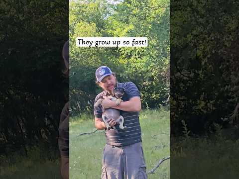 They grow up too fast. Gwynn has been adopted and is now loving her life with her forever family.