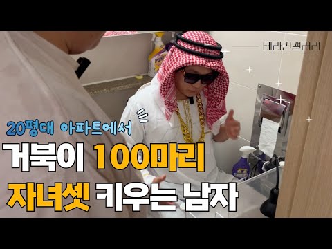 A man who raises 100 turtles and three children in a 20 pyeong apartment