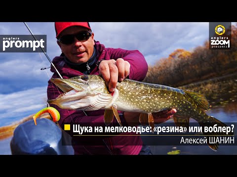 Щука на мелководье: «резина» или воблер. Алексей Шанин. Anglers Prompt