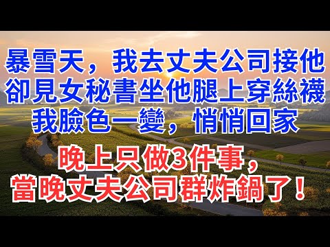 暴雪天，我去丈夫公司接他，卻見他女秘書坐他腿上穿絲襪，我臉色一變，悄悄回家，晚上只做3件事，當晚丈夫公司群炸鍋了！#為人處世#正能量#故事分享#生活經驗#情感