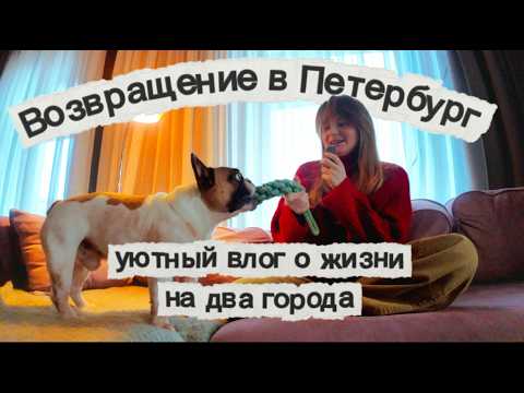 St. Petersburg after Kaliningrad: a cozy vlog with a dog, a Christmas tree, and pizza 🐶🎄🍕