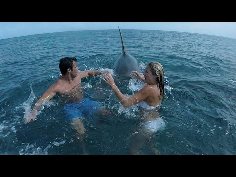 This Couple Never Stood a Chance Against The Shark