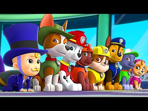 This BABY is too CUTE | PAW Patrol Best Moments 🌀 4K