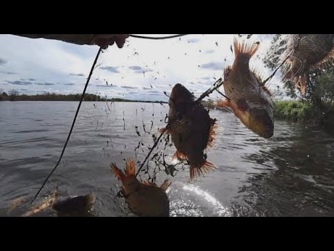 150 КГ КАРАСЯ С ДИКОГО ОЗЕРА! Сквозь бурелом и медвежьи следы, куда не ступала нога человека.