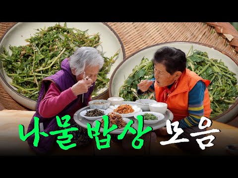 집 나간 입맛 돌아오게 만드는 향긋한 나물 밥상 모음집 Korean Food｜팔도밥상🍚 KBS 방송