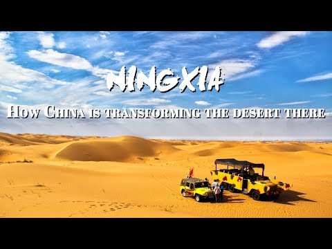 How China transformed its desert into a fruit growing oasis