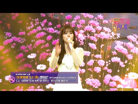 [클린버전] 이 노래 자꾸 귀에 맴도는데요?🥰❣️양지은 - 물레방아 도는데 ❣️트롯 올스타전 금요일밤에 TV CHOSUN 251219 방송