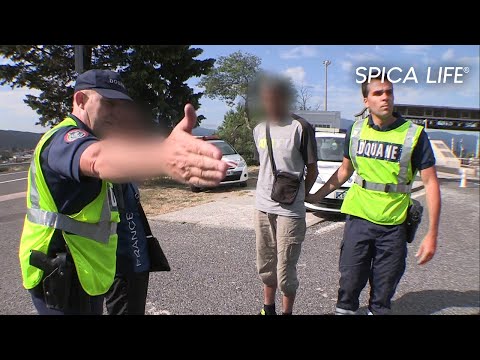 Trafiquants, contrebandiers : les nouveaux rois des frontières