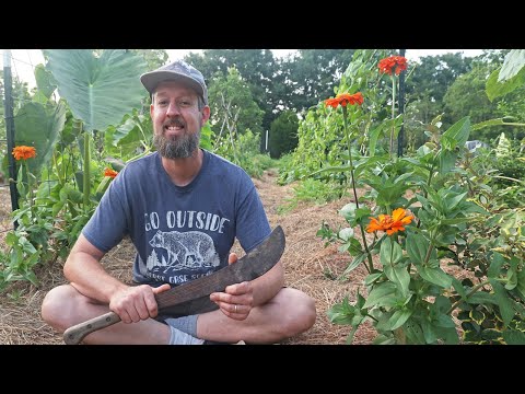 From Grass Lawn to BACKYARD EDEN in JUST 9 Months!