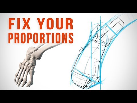 Why Your Proportions are Wrong and How to Fix Them
