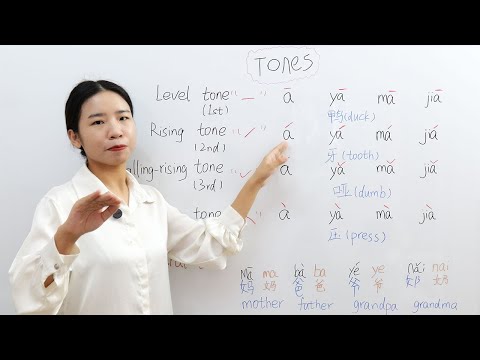 Basic Knowledge of Chinese: Tones | How to Learn Chinese Quickly | HSK | learn chinese lesson 1