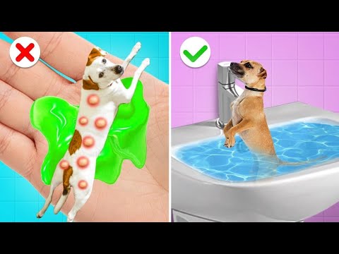 Hastanede Sıradışı Evcil Hayvan Kurtarma || Gotcha'dan Yararlı Evcil Hayvan Aletleri ve Hack'leri!