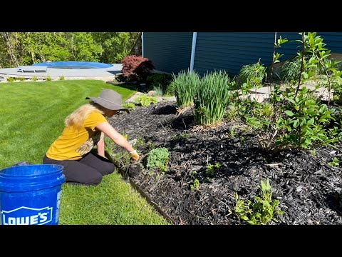 Weeds, Ticks and Poison Ivy OH MY! Spring Garden Clean Up Continues In Mid Michigan!