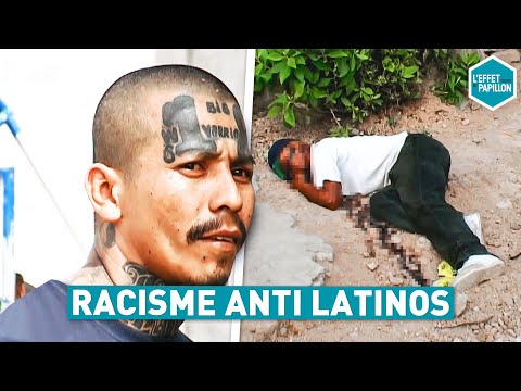 RACISME ANTI LATINOS (Espagne) - L'Effet Papillon