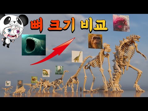 블룹과 엘그랜 마하 뼈 크기 비교!! 뼈 크기가 100m가 넘는다고?? 몬스터 동물 뼈크기 비교 size comparison 대박 뼈 비교 애니메이션 상황극 [꿈토이 꿀잼 리액션]