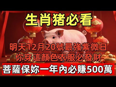 生肖猪必看，明天12月20號，農曆十一月初一是「最強紫微日」，你的偏財旺，你穿這顏色衣服必發財！菩薩保妳一年內必賺500萬，全家好運連旺一整年！#玄运生肖#屬相運勢#生肖#家運#手寫#生肖運勢的那些事