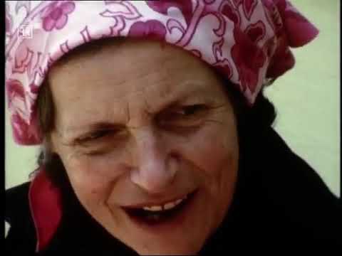 Niederbayerische Schlösser Topographie (1975)