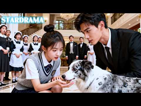 One bag of dog food cures the CEO’s $8M pup. Curious, he keeps her close and spoils her!