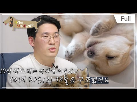 [Full] 세상에 나쁜 개는 없다 - 위풍당당 가족의 탄생