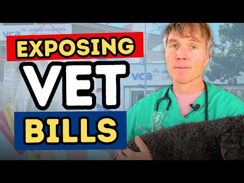 Why Are Vet Bills So High in 2025? Hidden Costs & How to Lower Them