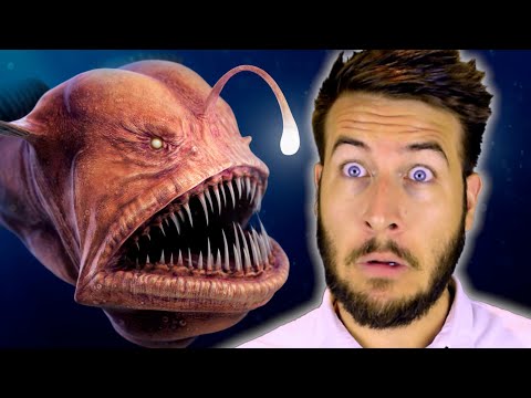 How Is The Ocean A Real Thing?