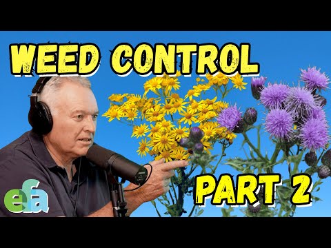 WEEDS PART 2: What They’re Really Telling You About Your Soil