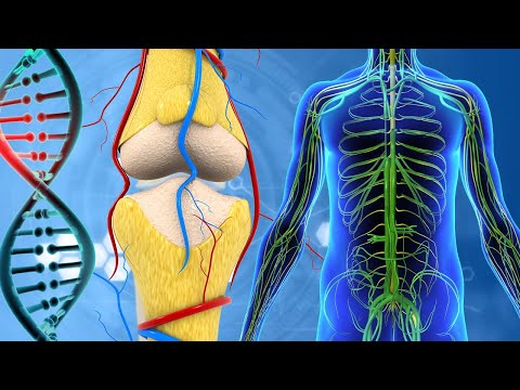 Super Speed Recovery 😱 8 Minutes Sound Healing Proven for 98.9% DNA Recovery and Repair #2