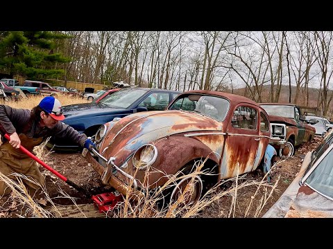 Old Car Saved from Crusher - Rescued | 1962 VW Beetle in Junkyard