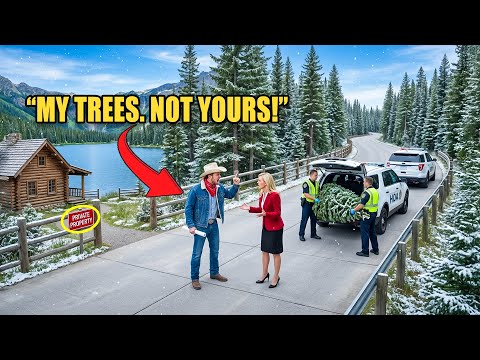 I Bought a Pine Farm Outside the HOA—Karen Sold My Christmas Trees, I Exposed It All | HOA Unfolded