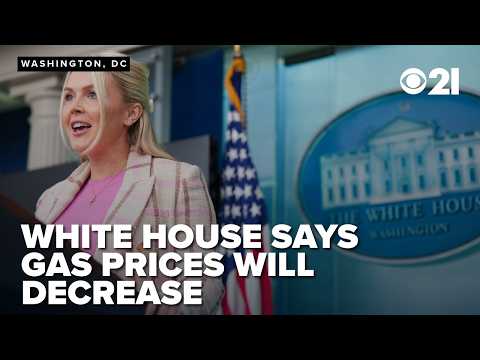 FULL: 'Americans will see oil and gas prices decrease rapidly' when war in Iran ends, Leavitt says